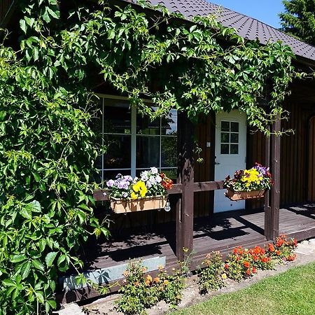 Kelluka Holiday House Pärispea Exterior foto