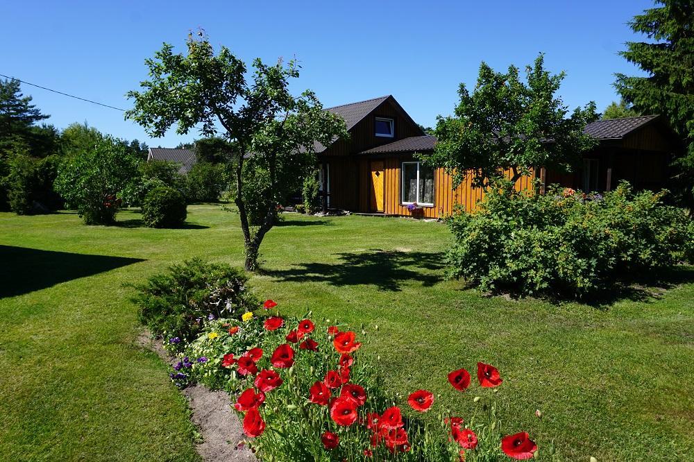 Kelluka Holiday House Pärispea Exterior foto